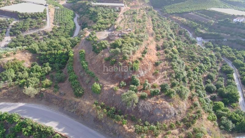 Foto 53b8bf0a-7f3a-4352-bdb7-accf801aa4fa. Finca rústica finca rustica con edificación alta produccion agricola en la axaquia en Vélez - Málaga