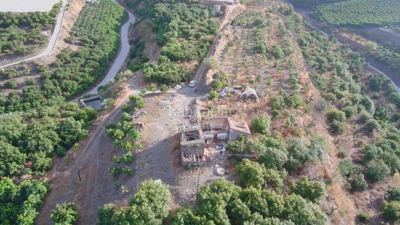 Foto 6b29ff62-0f29-4853-a550-6c819e58d99e. Finca rústica finca rustica con edificación alta produccion agricola en la axaquia en Vélez - Málaga