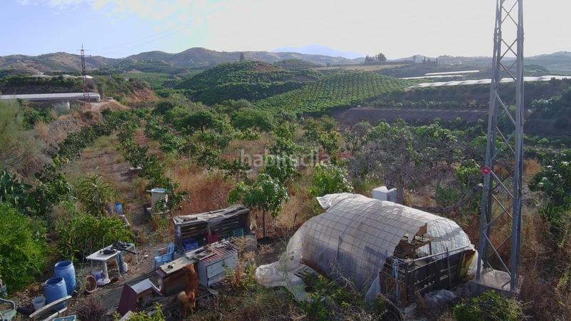 Foto 886bedad-1050-4ce1-87ba-33913cdd2b47. Finca rústica finca rustica con edificación alta produccion agricola en la axaquia en Vélez - Málaga