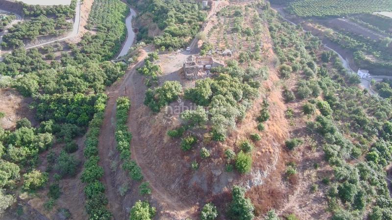 Foto f8ad0ef6-308a-4ed4-8605-04a23871b630. Finca rústica finca rustica con edificación alta produccion agricola en la axaquia en Vélez - Málaga
