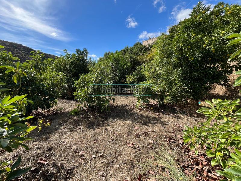 Foto a916c985-53d4-47da-b63d-71195904c8f0. Terreny residencial a Canillas de Aceituno