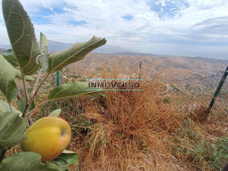 Foto d4b3150d-9fa0-48cb-ba7c-5a6faca87ba0. Maison avec parking dans Moclinejo