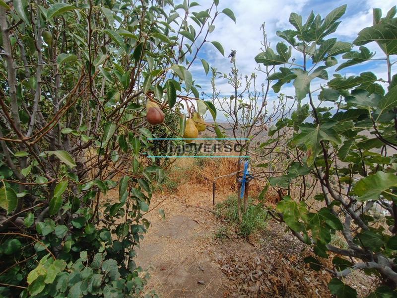 Foto 3c7fbe33-71de-41a6-9e9f-7896f14ebbbf. Miete haus mit parking in Moclinejo