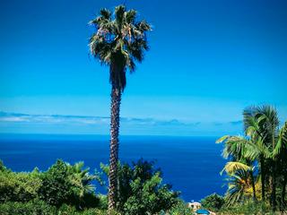 Appartement à Cuesta de la Villa. Teneriffa nord! luxus-wohnung mit teide- und meerblick!