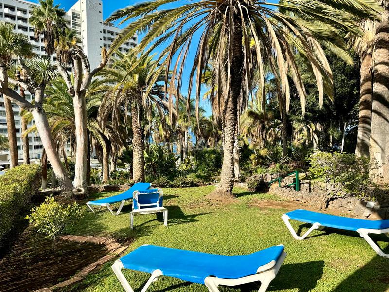 Foto cf40571c-ea50-43a5-bc42-7eb5d5f8bf71. Apartment in camino burgado 1 in Longuera - Toscal Realejos (Los)