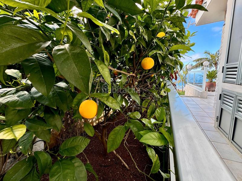 Foto c0d12aeb-831e-47f6-a981-2c4b041f531b. Chalet exclusive property in puntillo del sol – the sunniest spot in northern tenerife! en Matanza de Acentejo (La)