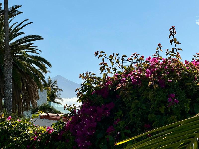 Foto f26cfeed-0af7-479e-93df-8d94290218a1. Chalet exclusive property in puntillo del sol – the sunniest spot in northern tenerife! en Matanza de Acentejo (La)