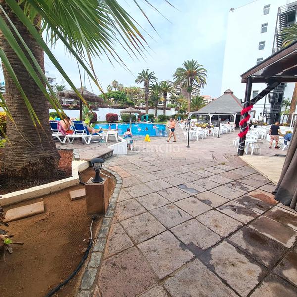 Foto 433cae46-46fd-452e-b226-2952150e127a. Studio avec piscine dans Zona Botánico Puerto de la Cruz