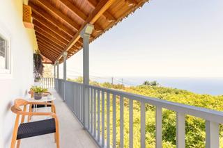 Chalet en La Perdoma - San Antonio - Benijos. Tenerife north: large avocado finca: unique investment opportuni