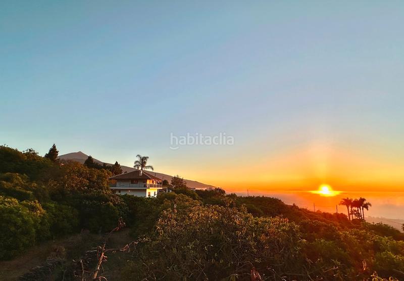 Foto 4b7fe41e-30f2-4ad9-92df-1c1f07afb85b. Chalet north tenerife – unique large finca with avocado groves, sea views and huge potential en Orotava (La)