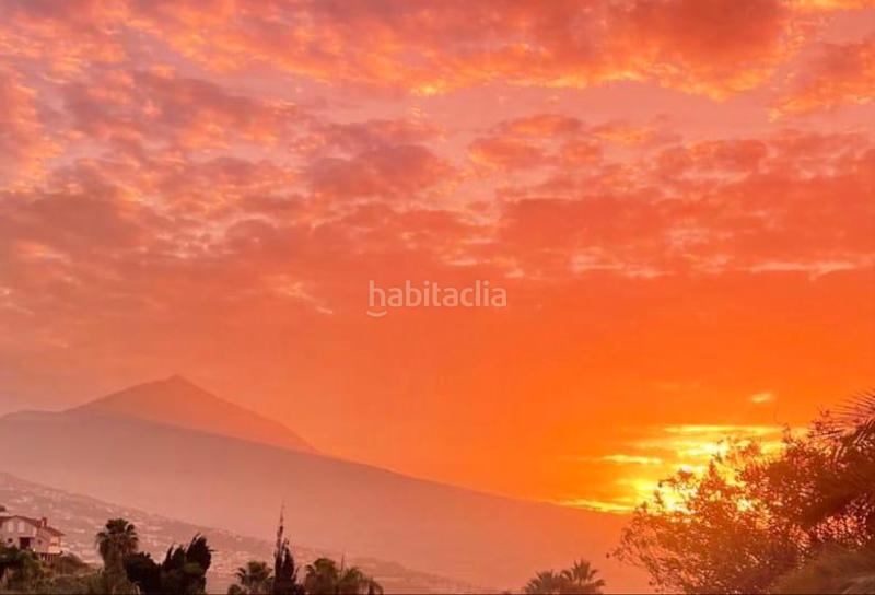 Foto a988d65b-5f8b-479b-949a-26543c61ab78. Chalet north tenerife – unique large finca with avocado groves, sea views and huge potential en Orotava (La)