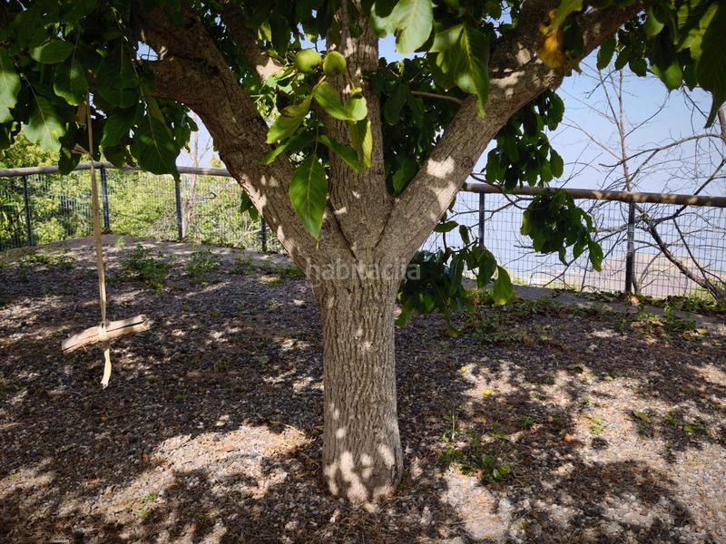 Foto 13fb7bd3-24c1-41a6-9958-8646976f7f2c. Casale in n/a in Victoria de Acentejo (La)