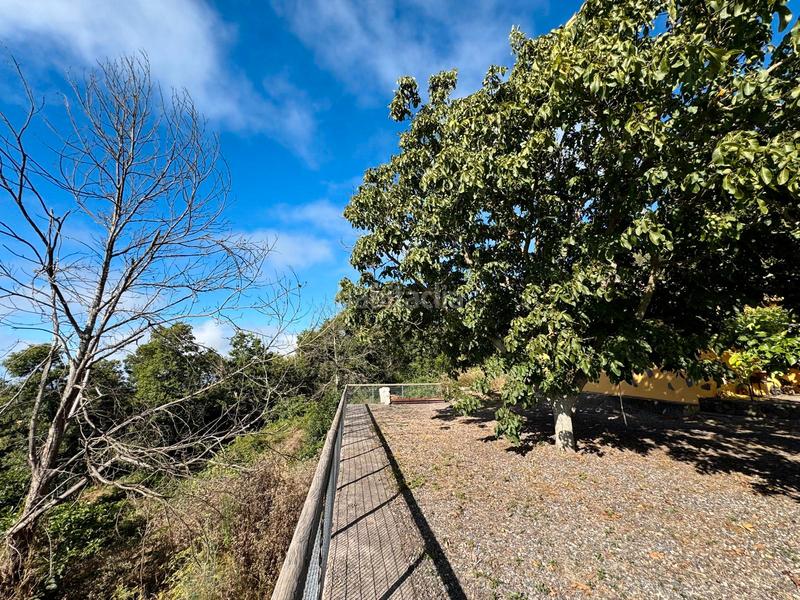 Foto acff72f2-b344-4070-b964-fcb95109a6a8. Casale in n/a in Victoria de Acentejo (La)