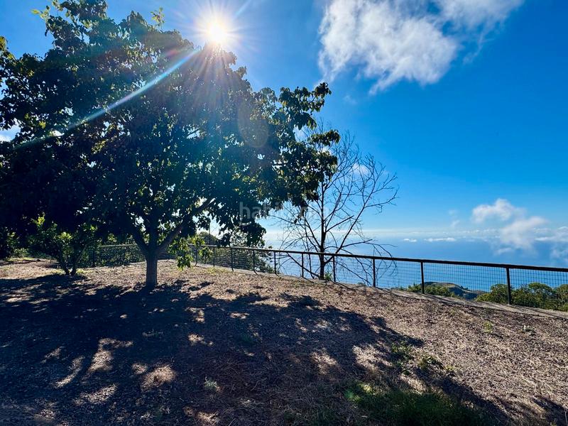 Foto d99d2b95-cc44-43a9-b36c-b734baf52d1a. Casale in n/a in Victoria de Acentejo (La)