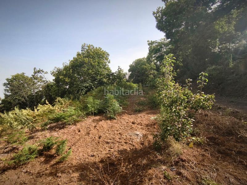 Foto ed8042fb-5850-44f1-bd24-410ddee87737. Casale in n/a in Victoria de Acentejo (La)