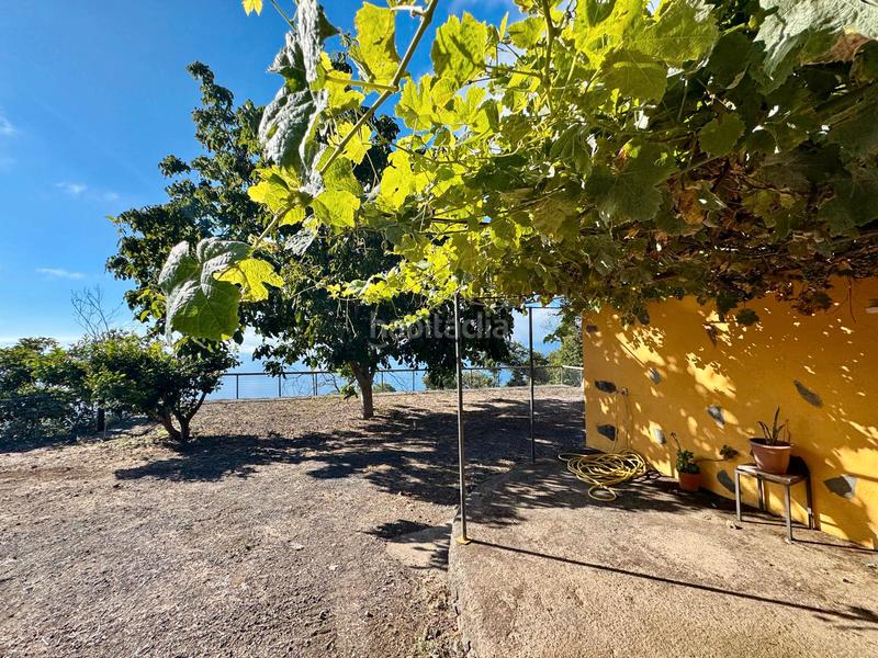 Foto f1f134cf-d6dc-40e6-b6dc-4056708dc4e2. Casale in n/a in Victoria de Acentejo (La)