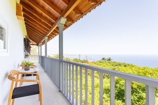 Mas à Centro. Tenerife norte gran finca de aguacates oportunidad única de inve