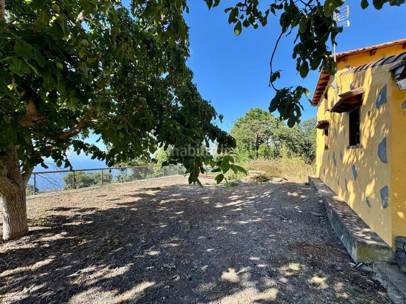 Foto 1b039fc0-be98-45f0-aae3-dd19b280c0c5. Masia a Matanza de Acentejo (La)