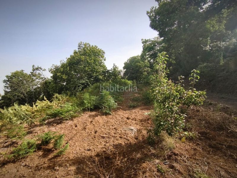 Foto a34bf56d-7da0-4ada-87db-f51bd803c2ce. Masia a Matanza de Acentejo (La)