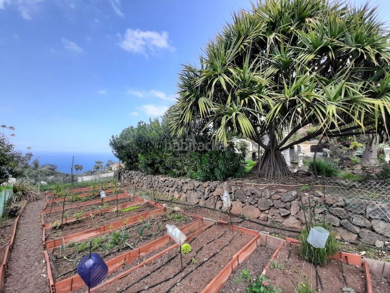 Foto a0d25bf2-7c29-4d7c-8eae-681cb9c4a769. Casa amb aparcament a Santa Úrsula pueblo Santa Úrsula