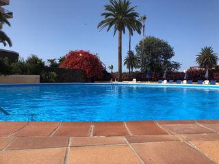 Estudi a Playa Jardín. Tenerife estudio amplio y elegante con gran terraza y gran poten
