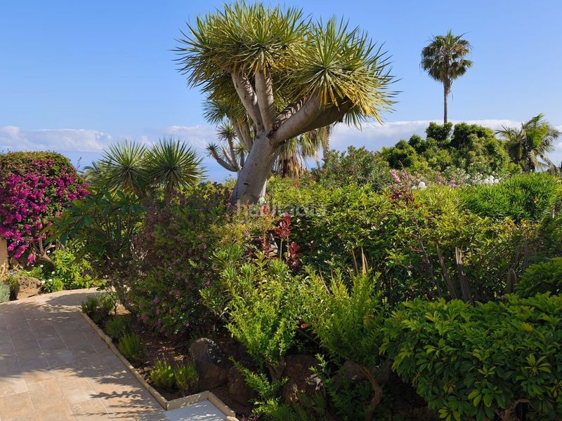 Foto ab3b23d5-b757-4446-b114-d5cfacf1b509. Apartament amb aparcament a Santa Úrsula pueblo Santa Úrsula