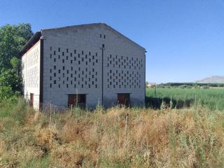 Finca rústica  Calle rodrigo de triana. Secadero a la venta en cijuela (granada)