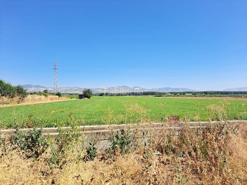 Foto 68f1d3b4-4c37-4b3c-8038-e35251fefb93. Finca rústica a camino romilla 15 a Cijuela