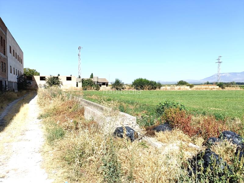 Foto 9df3c27e-fe4a-4c91-adf4-f6473d58ae7d. Finca rústica a camino romilla 15 a Cijuela