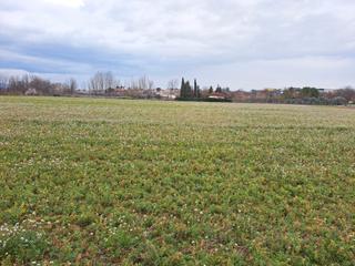 Landgut in Calle huerta 8. Tierra de cultivo lachar