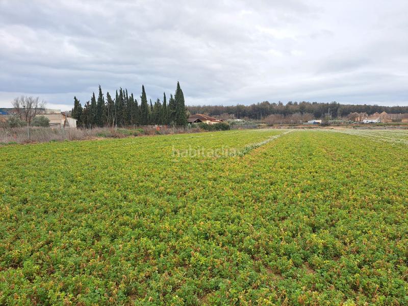 Foto 3125257b-55a1-4bc8-8355-e19a1aeadc63. Propriété dans calle huerta 8 dans Láchar