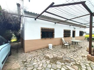 Finca rústica a Chauchina. Venta de finca con casa a la venta en chauchina (granada)