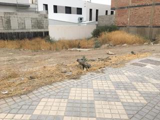 Terreny residencial  Calle carreterías. Venta de solar en maracena