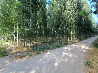 Propriété à Camino fuente vaqueros 2. Venta de finca zona de fuente vaqueros