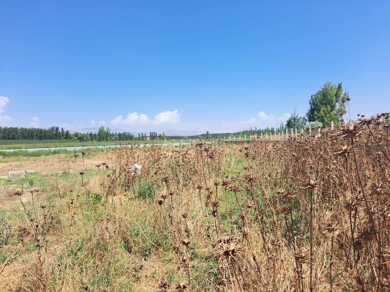 Foto fbd0ccc3-948d-4a6b-9161-df9a365ac034. Finca rústica a Fuente Vaqueros