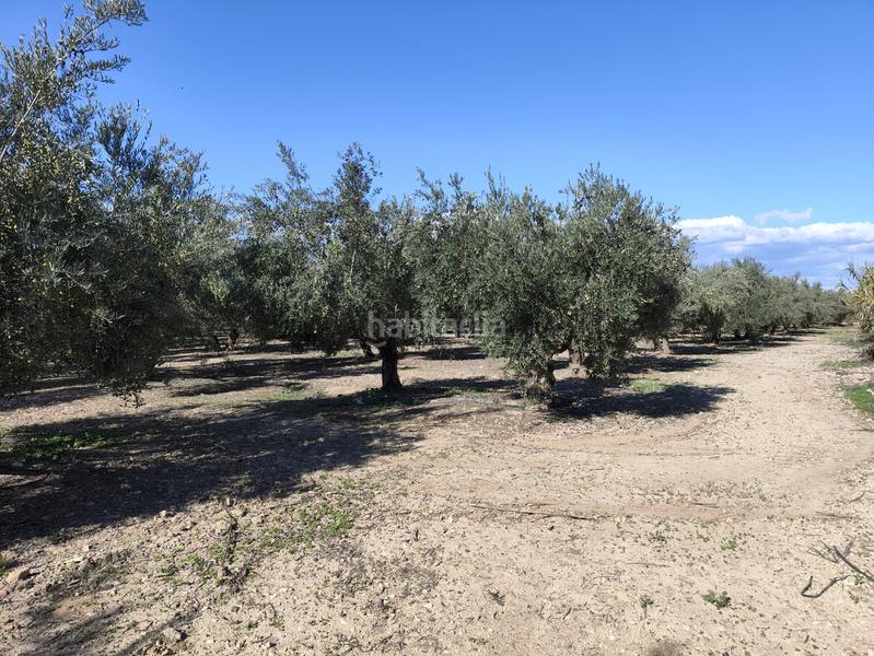 Foto 6e5771c6-5768-4ba7-88b9-7a0c2e45c700. Finca rústica a Santa Fe