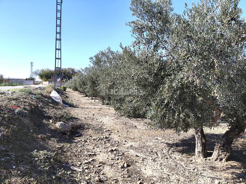 Foto e7ccf972-c7f3-4b64-97ae-f02d0b8f005f. Finca rústica a Santa Fe