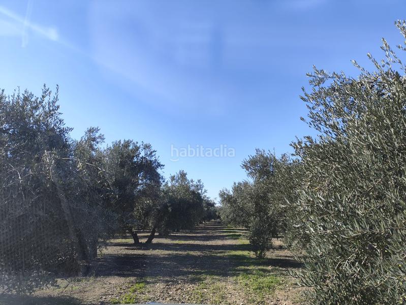 Foto fdd8df1b-d9d0-4093-9e14-ee09450f6588. Finca rústica a Santa Fe