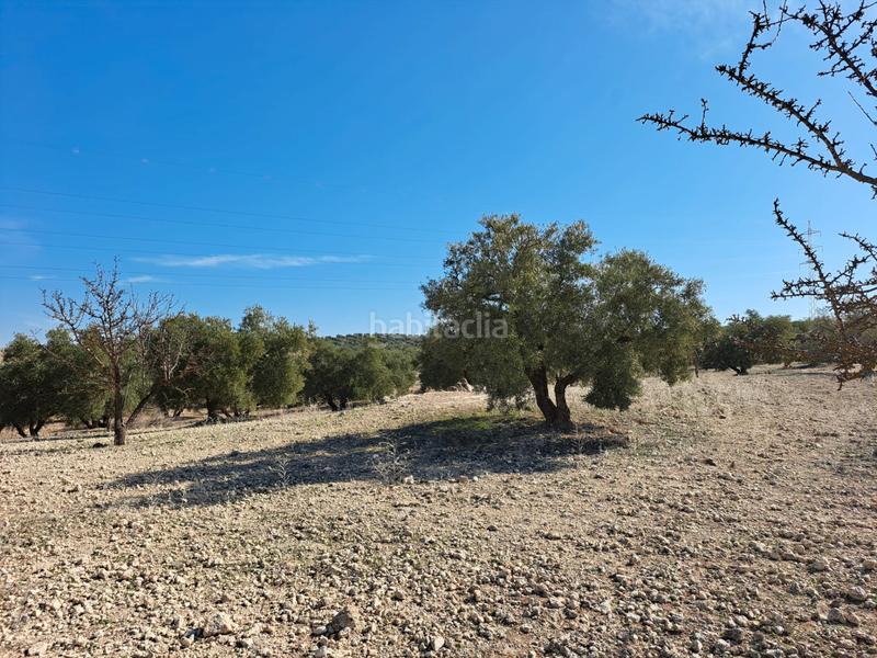 Foto 7ef81772-fc5c-4303-b954-61aa6fb69ff0. Finca rústica a Chimeneas