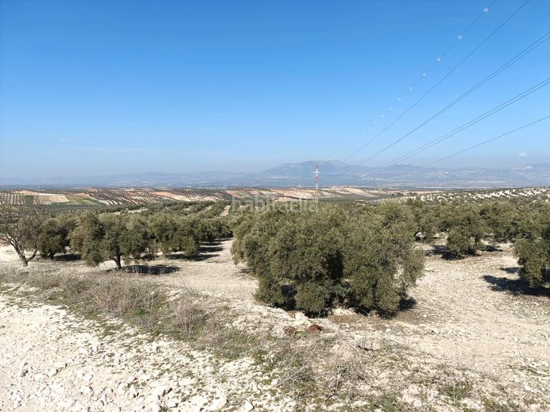 Foto c32222c8-be99-4576-baad-d7d2ad2d6e3a. Finca rústica a Chimeneas