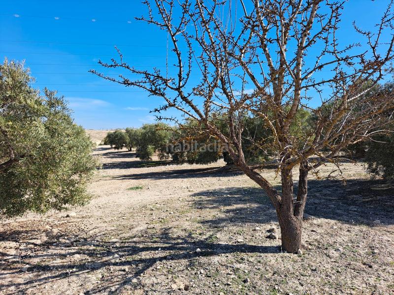Foto c5260aa9-4904-4b71-9239-047d89abf1aa. Finca rústica a Chimeneas
