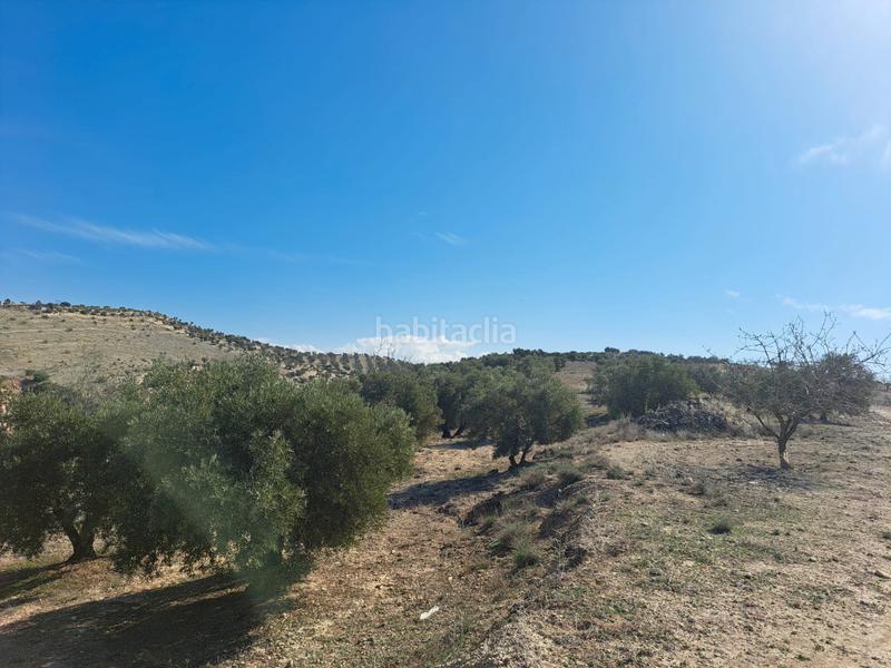 Foto c5be5d4f-cc7a-456b-950e-d71579c77ff5. Finca rústica a Chimeneas