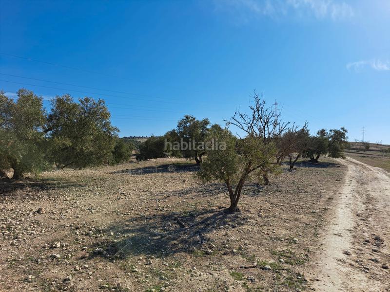 Foto e353eb17-b095-4f3c-abab-ce1cefcbb4b4. Finca rústica a Chimeneas