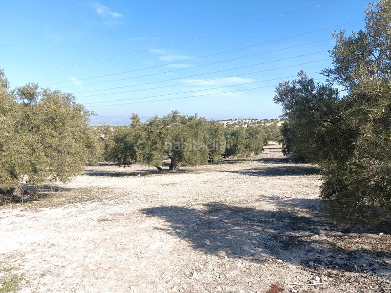 Foto eb7c15fa-1ef0-4b04-b7ef-e2c2fca89308. Finca rústica a Chimeneas