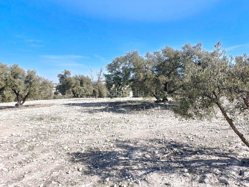 Foto f851c211-39c8-4934-b3b5-9586cd182e39. Finca rústica a Chimeneas