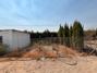 Ampliar foto fa5cd2f0-beeb-4814-a72a-b87d4f56f874.jpg