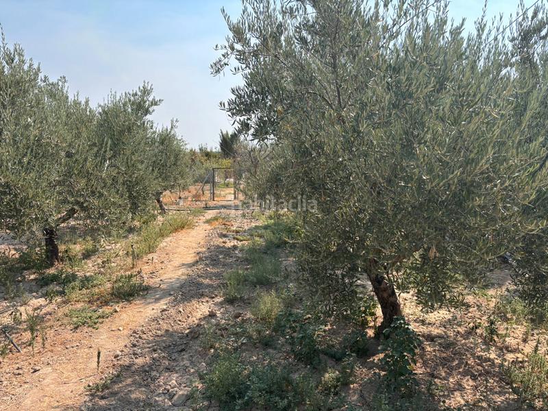 Foto 1fad8d57-8ff0-4859-bf08-67c6cebf1867. Finca rústica se vende este espectacular cortijo en la localidad de huétor tajar una oportunidad a tu alcance. 86.000€ en Huétor Tájar