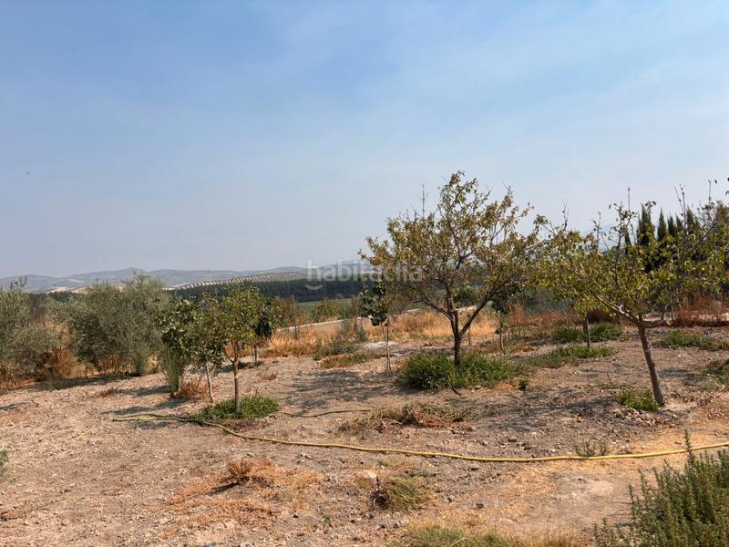 Foto 2c3976f3-7b91-4591-8194-35d17b494bfc. Finca rústica se vende este espectacular cortijo en la localidad de huétor tajar una oportunidad a tu alcance. 86.000€ en Huétor Tájar