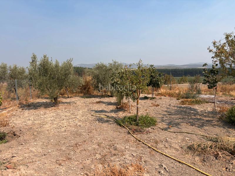 Foto ef3f9c03-88de-44ba-b9cc-b6e62a5dc192. Finca rústica se vende este espectacular cortijo en la localidad de huétor tajar una oportunidad a tu alcance. 86.000€ en Huétor Tájar