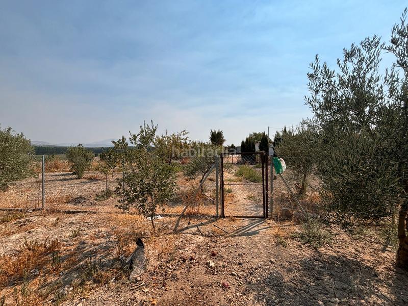 Foto ef7b2221-cb59-475c-83fb-4434cbfa75e9. Finca rústica se vende este espectacular cortijo en la localidad de huétor tajar una oportunidad a tu alcance. 86.000€ en Huétor Tájar